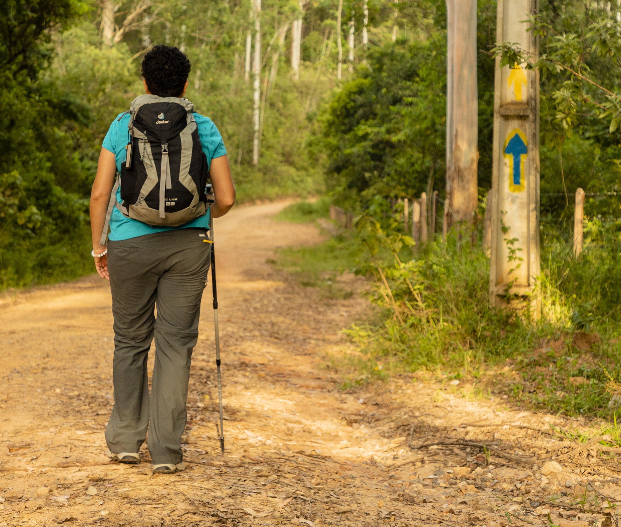 Caminhe junto a uma mentora de turismo rural